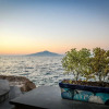Отель Beachfront Villa Sorrento & private sea access, фото 25