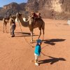 Отель Wadi Rum Safari Camp & Trips, фото 10