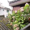 Отель Yongjian Hostel, фото 1
