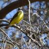 Отель Rustico Cerro Del Valle, фото 27