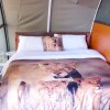 Отель Amanya 2-bed Lioness Family Tent in Amboseli, фото 8