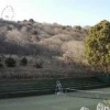 Отель Izu Inatori Sports Villa, фото 9