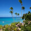 Отель Cobblers Cove - Barbados, фото 18