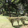 Отель Serene Guesthouse, Entebbe, фото 3
