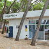 Отель Camp Jure Makarska, фото 1
