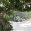 Отель Villa Aurea, фото 25