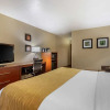 Отель Comfort Inn & Suites, фото 3