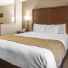 Отель Comfort Suites Coralville I-80, фото 4