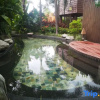 Отель Nankunshan Yushang Hot Spring Resort, фото 5