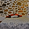 Отель Hostal Chaska Wasi - Hostel, фото 4