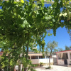 Отель Apartments Kimera, фото 8