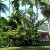 Отель Daintree Valley Haven, фото 14