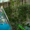 Отель Weizhou Island Right Bank Travel Residence, фото 10
