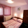 Отель Pensiunea Flori, фото 4