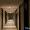 Отель Home Inn Plus (Qiandao Lake Scenic Area), фото 14