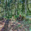 Отель Huckleberry Mountain Lodge, фото 19