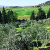 Отель La Locanda del Barbagianni, фото 17