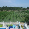 Отель Indian Creek Village Winery, фото 15