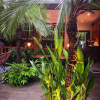 Отель Boutique Hotel y Spa Tangara Azul, фото 9
