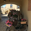Отель Casale delle Rose, фото 31