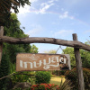 Отель Baan Kasemsuk Resort, фото 1