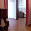 Отель Arona-lake Maggiore Apartment in Quiet Area Suitable for Families, фото 17