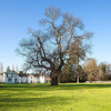 Отель Mercure Brandon Hall Hotel & Spa Warwickshire, фото 22