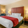 Отель Comfort Inn & Suites Nashville Franklin Cool Springs, фото 3