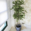 Отель Apartamento Chamberi, фото 20
