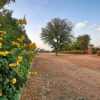 Отель The Imperial Farm Retreat Jaipur - A weekend Gateway, фото 13