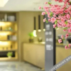 Отель New Century Manju Hotel (Zhili Huide Internationali), фото 1