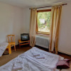 Отель Penzion Karpatia, фото 2
