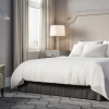 Отель Best Western Plus Victoria Hotel, фото 30