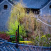 Отель Wenying Hotel, фото 5