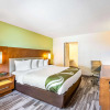 Отель Quality Inn & Suites, фото 4