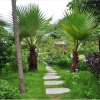 Отель Xinfeng Utop Spring Primeval Forest Resorts, фото 17