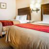 Отель Quality Inn & Suites, фото 7