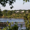 Отель Neptune Mara Rianta Luxury Camp, фото 2