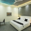 Отель Mohan Tulip Hotel, фото 3