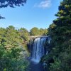 Отель Kerikeri Park Lodge, фото 44