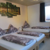 Отель Apartments & Ferienhaus Senftner, фото 9