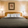 Отель Quality Inn & Suites, фото 31