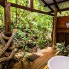 Отель Rainforest Hideaway, фото 6