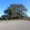 Отель Agriturismo Il Capannone, фото 25