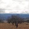 Отель El Palomar de Peñarrubia, фото 7