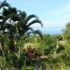 Отель The Rainbow Plantation Bed and Breakfast, фото 3