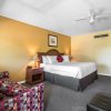 Отель Econo Lodge Inn & Suites, фото 6