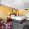 Отель Econo Lodge Inn & Suites, фото 13