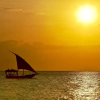 Отель Mangrove Lodge, фото 23
