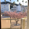 Отель Marina Bay Atami, фото 10